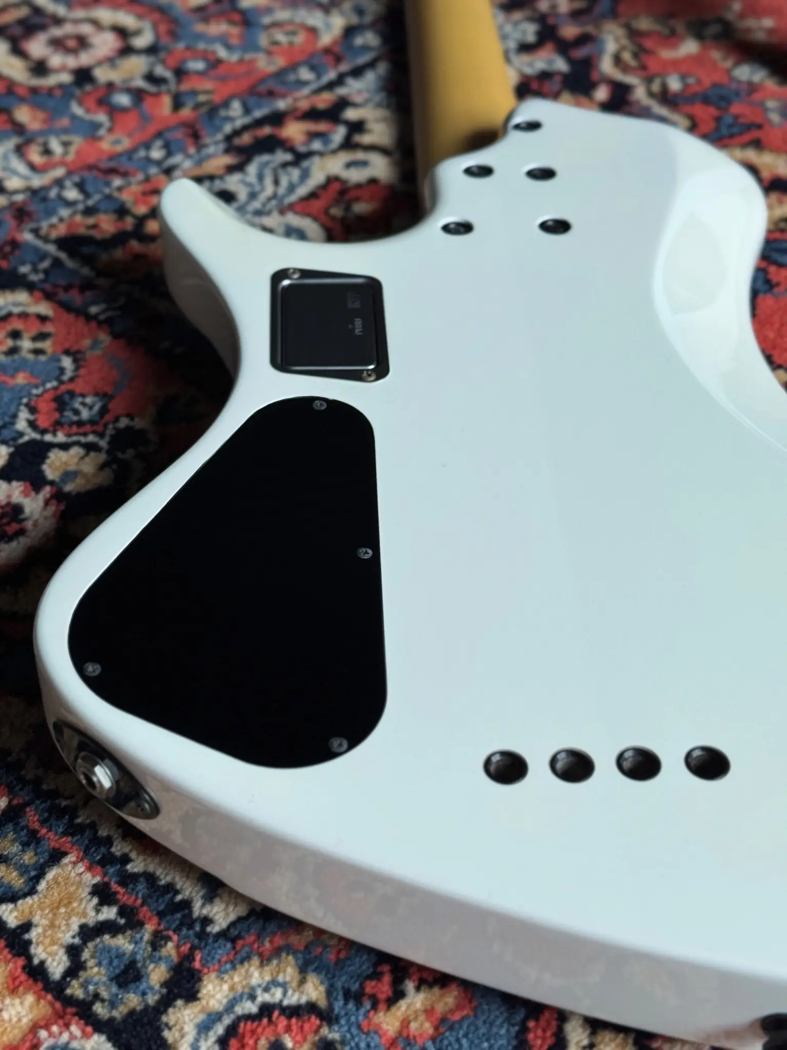 Back of body and neck plate