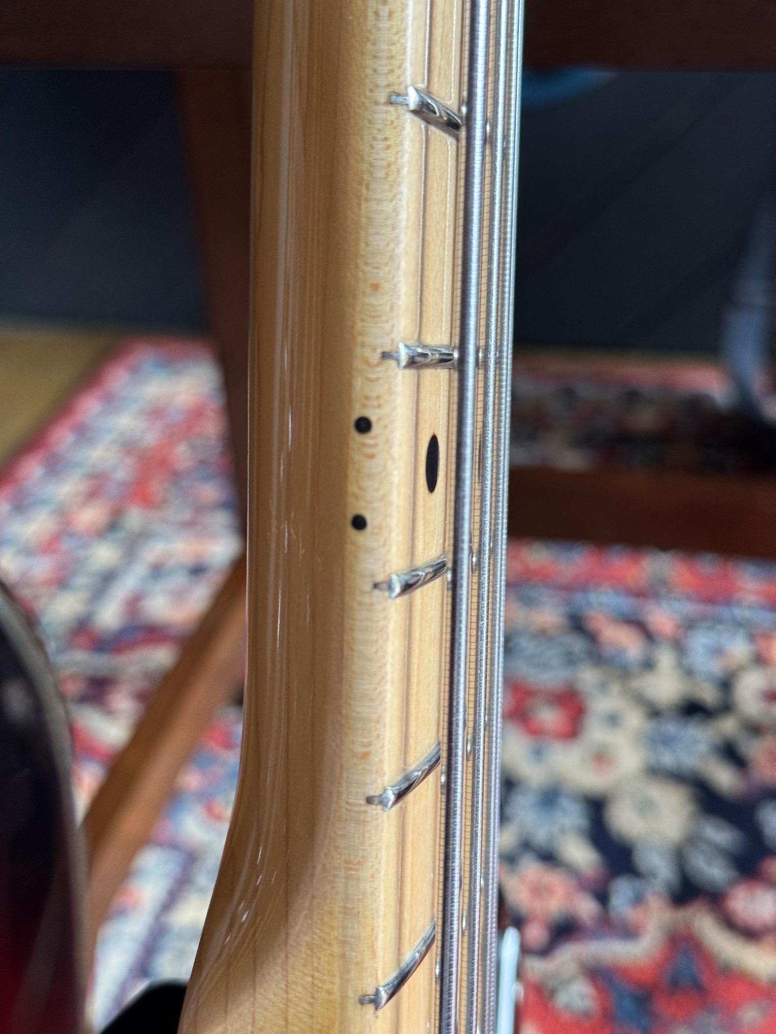 Close view of the fret ends and side of the neck.