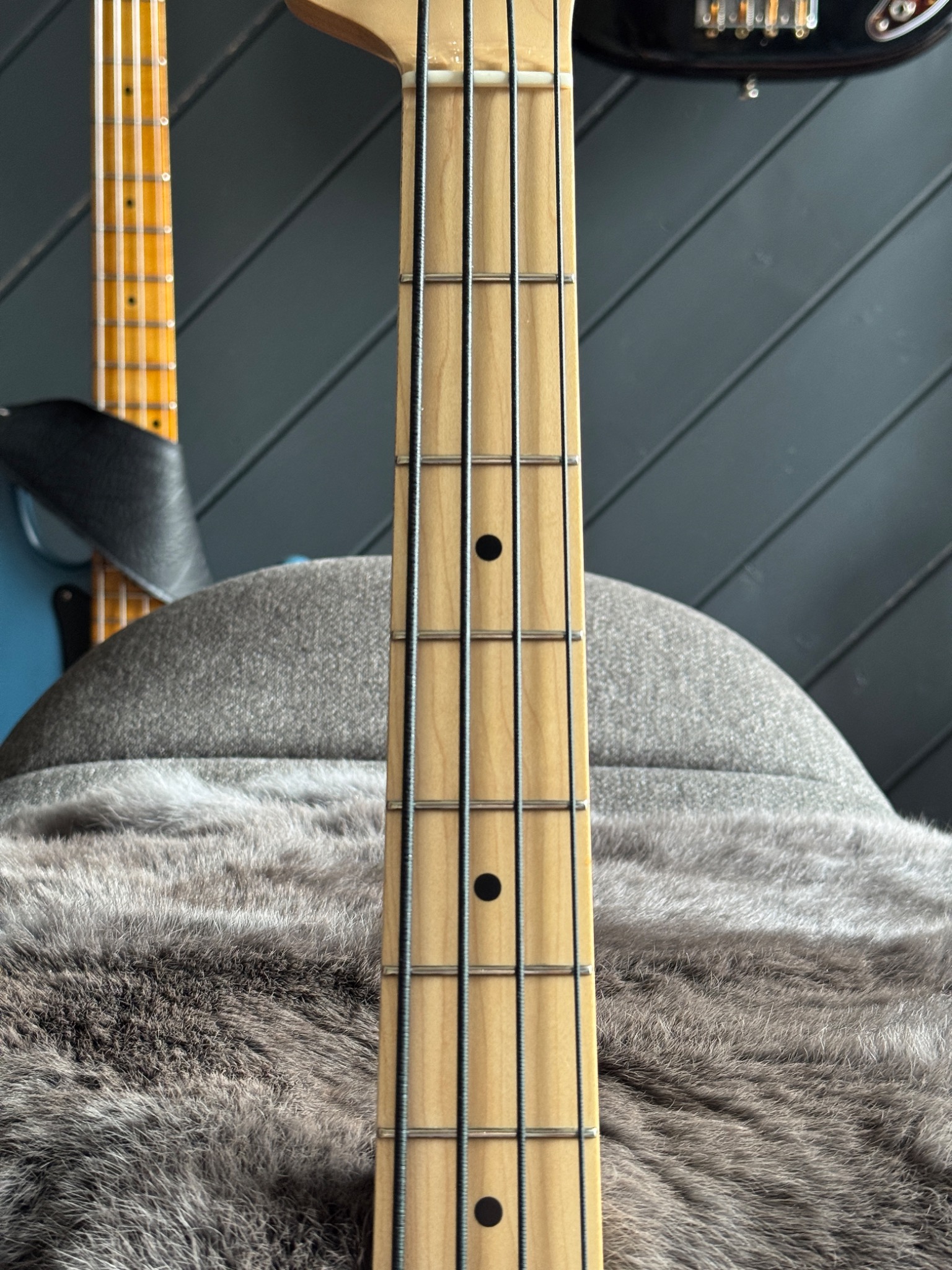 fingerboard and neck detail