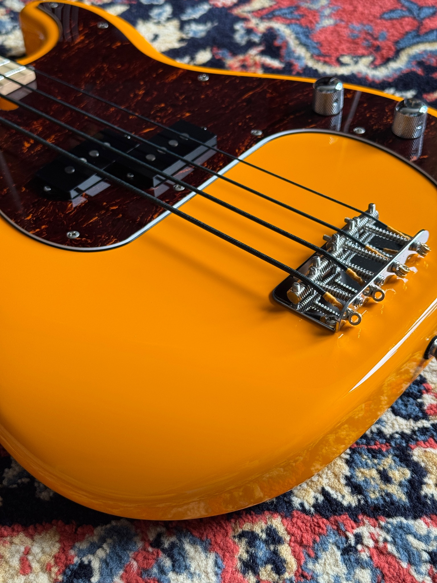 bridge and strings on the body