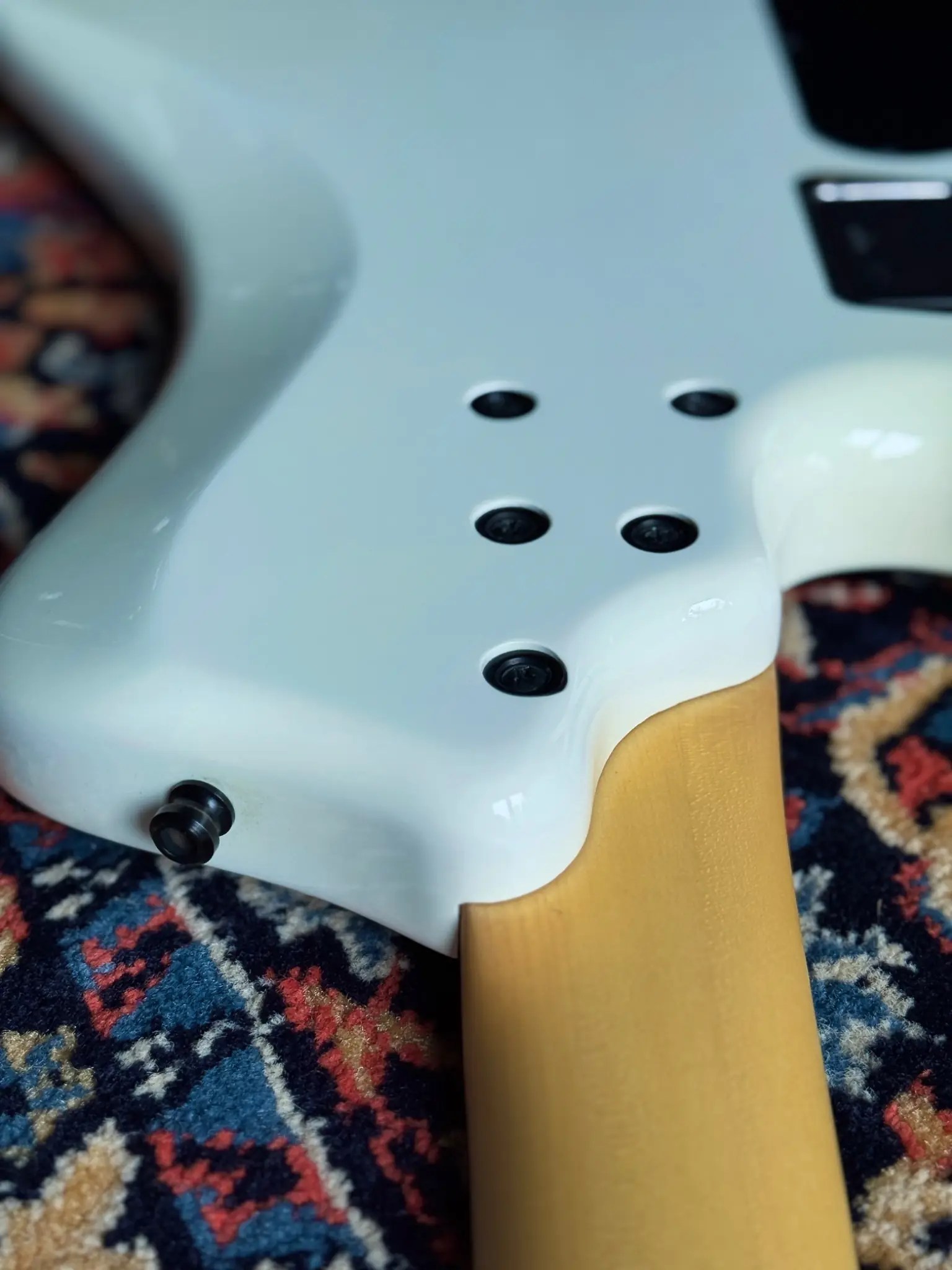 Back of the body at the neck joint
