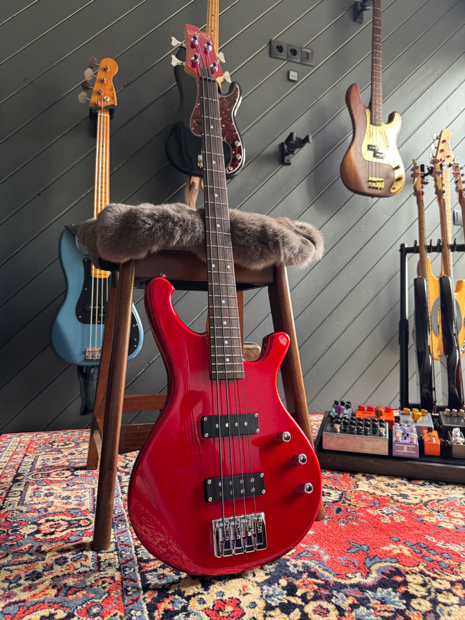 2015 MD-MM Produce MDB-ELITE/S Bass — photograph in the Gruuvik Chamber collection