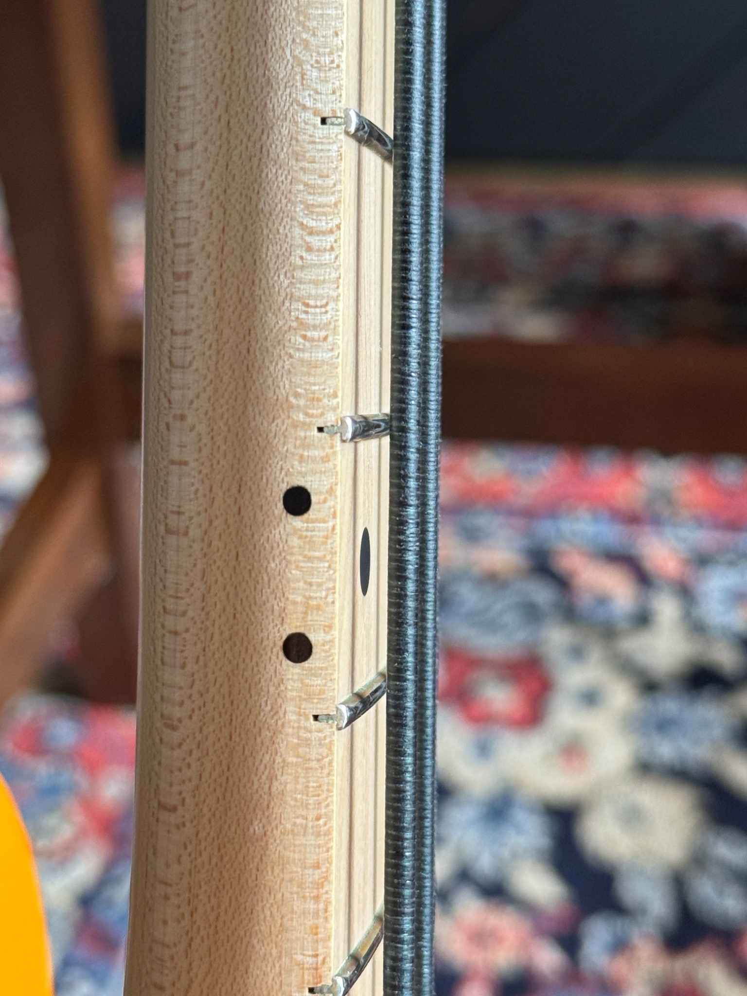 fingerboard side and fret markers