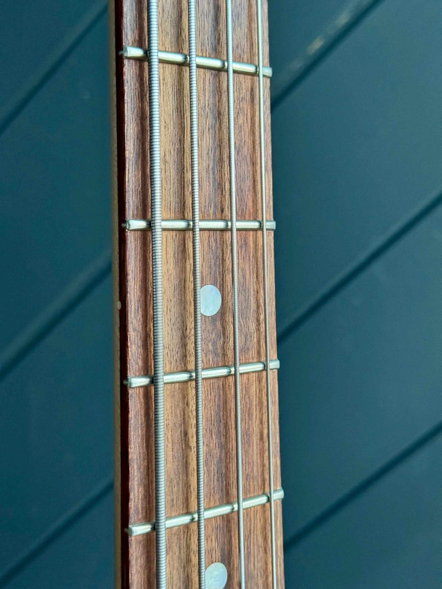 Close view of the rosewood fingerboard and position markers.