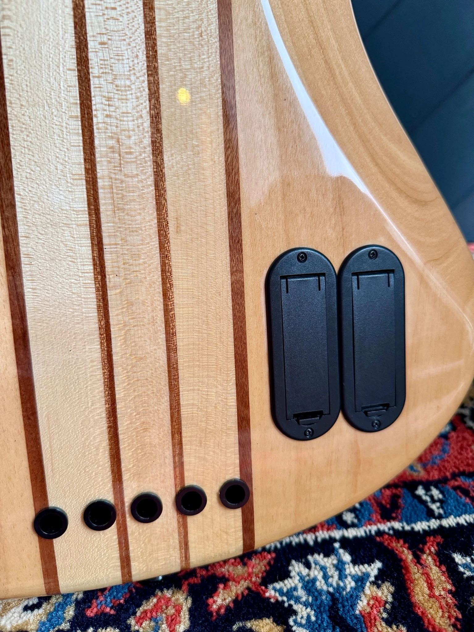 Rear body close-up showing the separate electronics covers and string ferrules