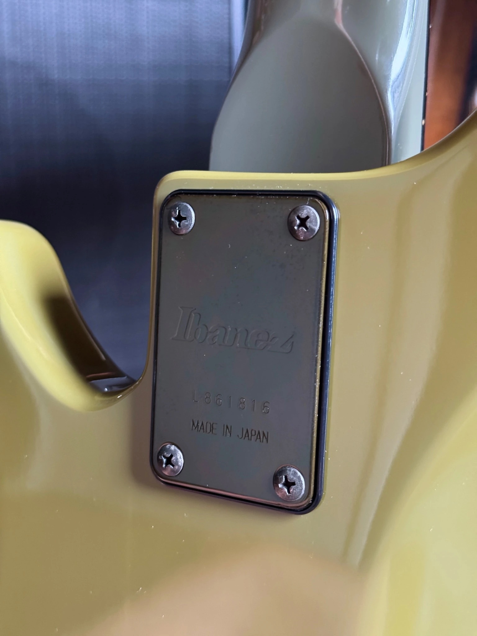 Neck plate and surrounding finish