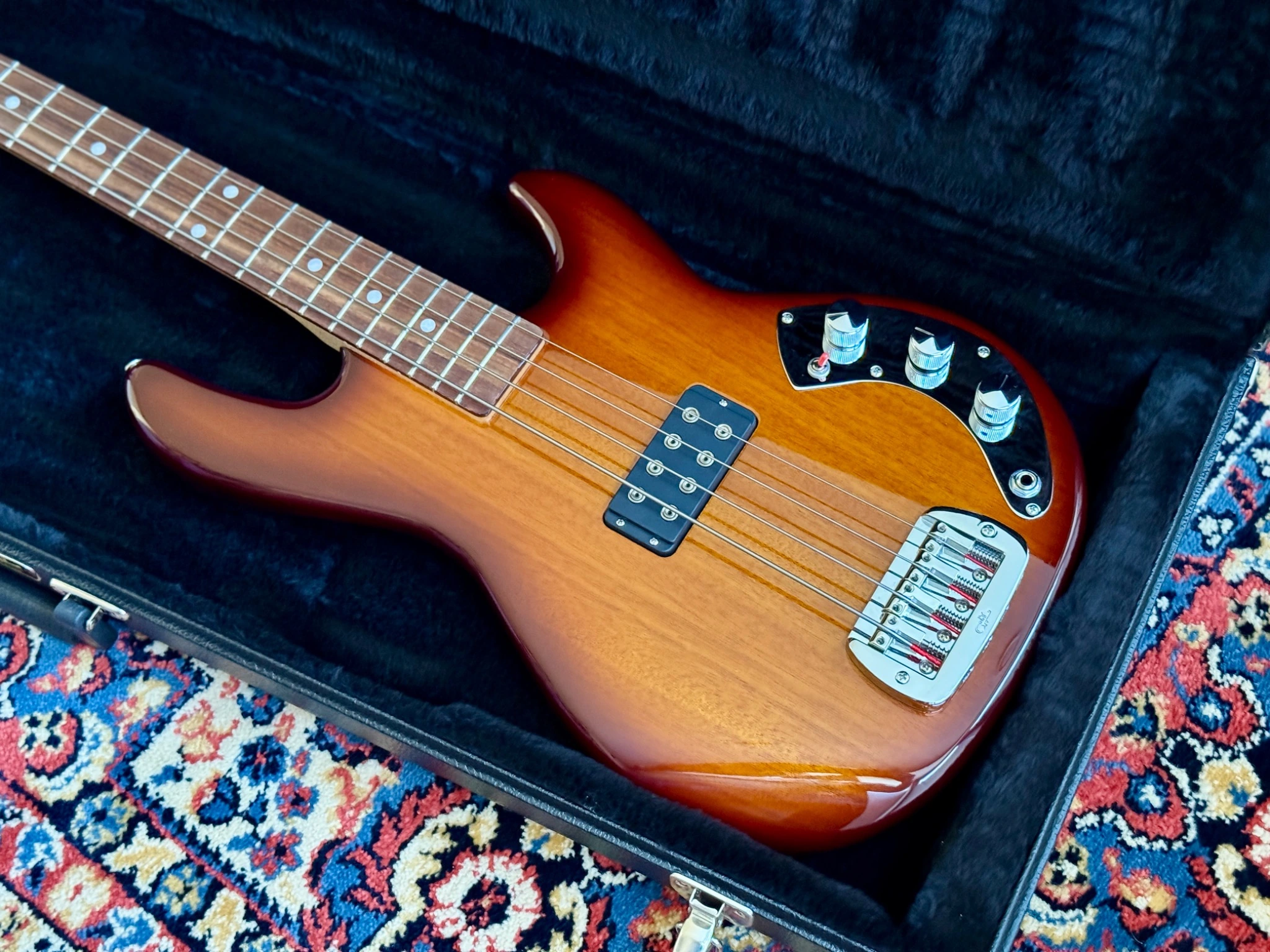The bass resting inside its original hard case.