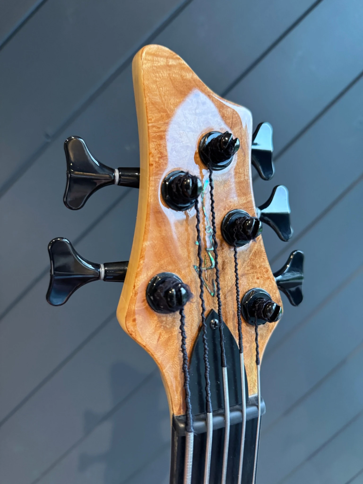 Front of the headstock showing the logo and tuner layout