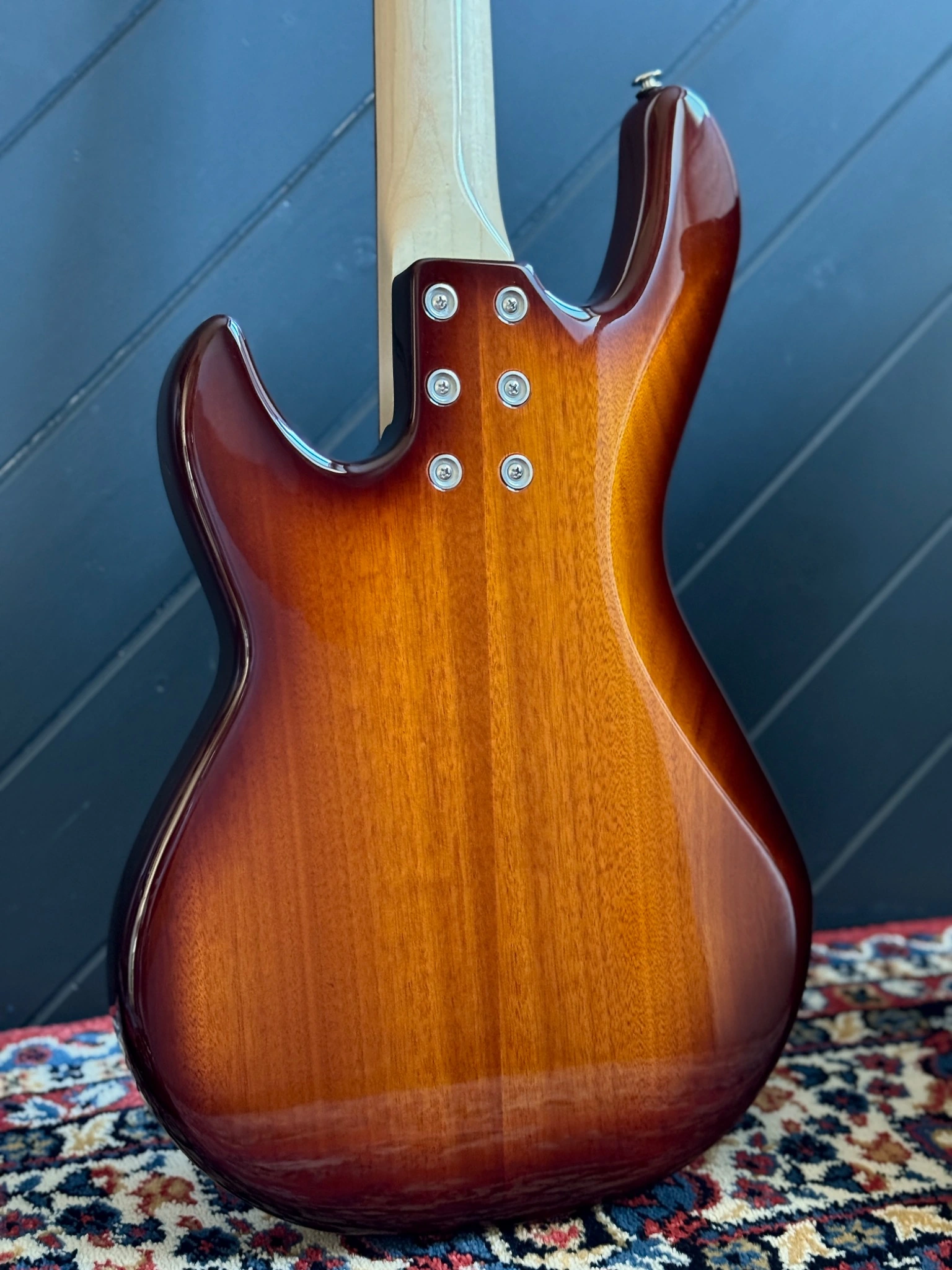 Closer view of the back and contours of the body.