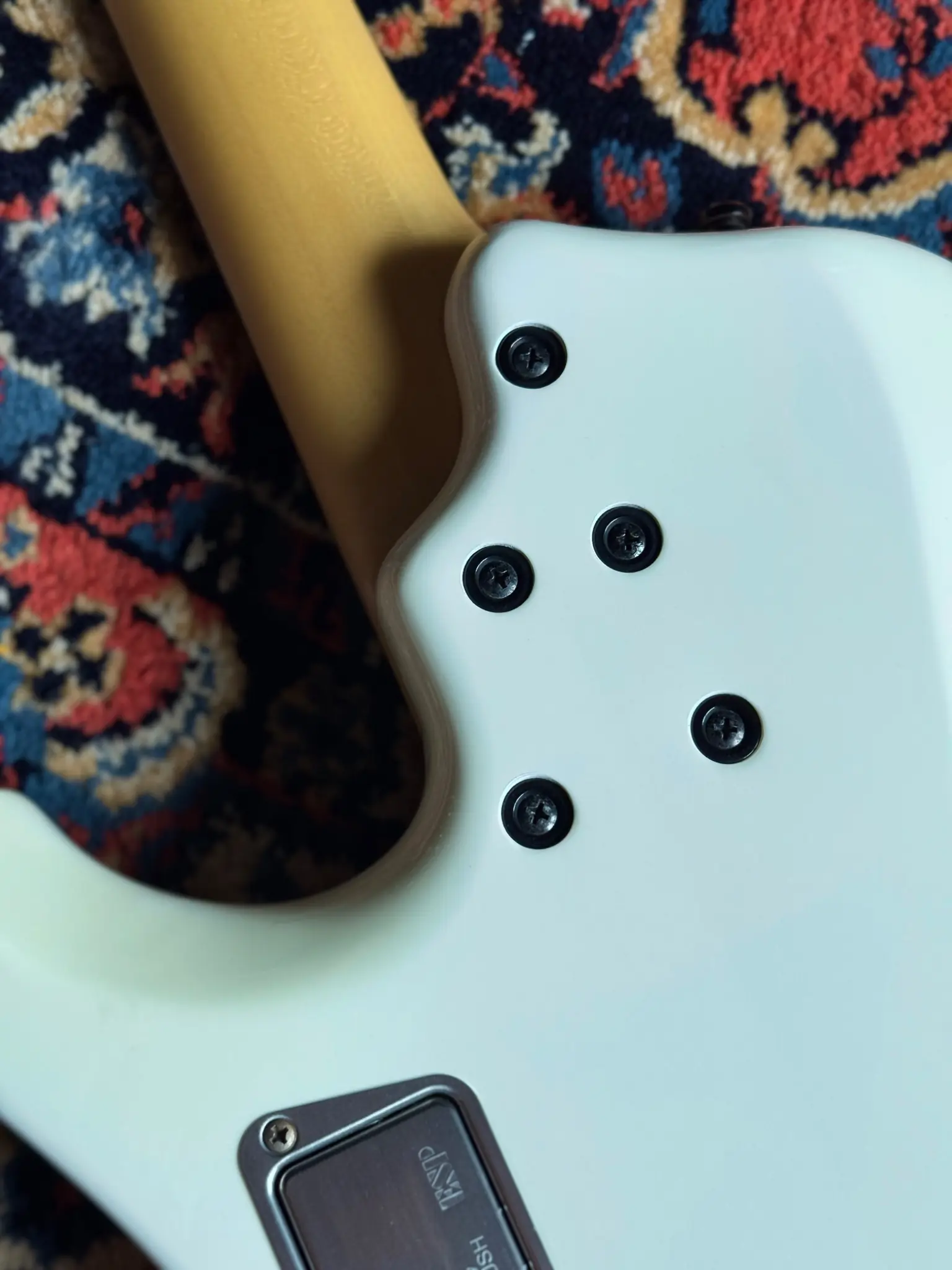 Back of body at neck pocket