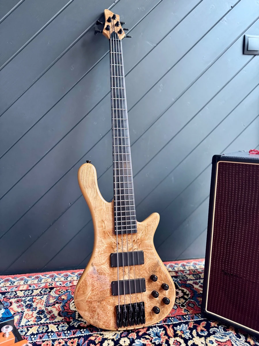 2025 AIO S8 Burl Maple - Neck-Thru - 35" Scale - Active 3-Band EQ — photograph in the Gruuvik Chamber Gone collection