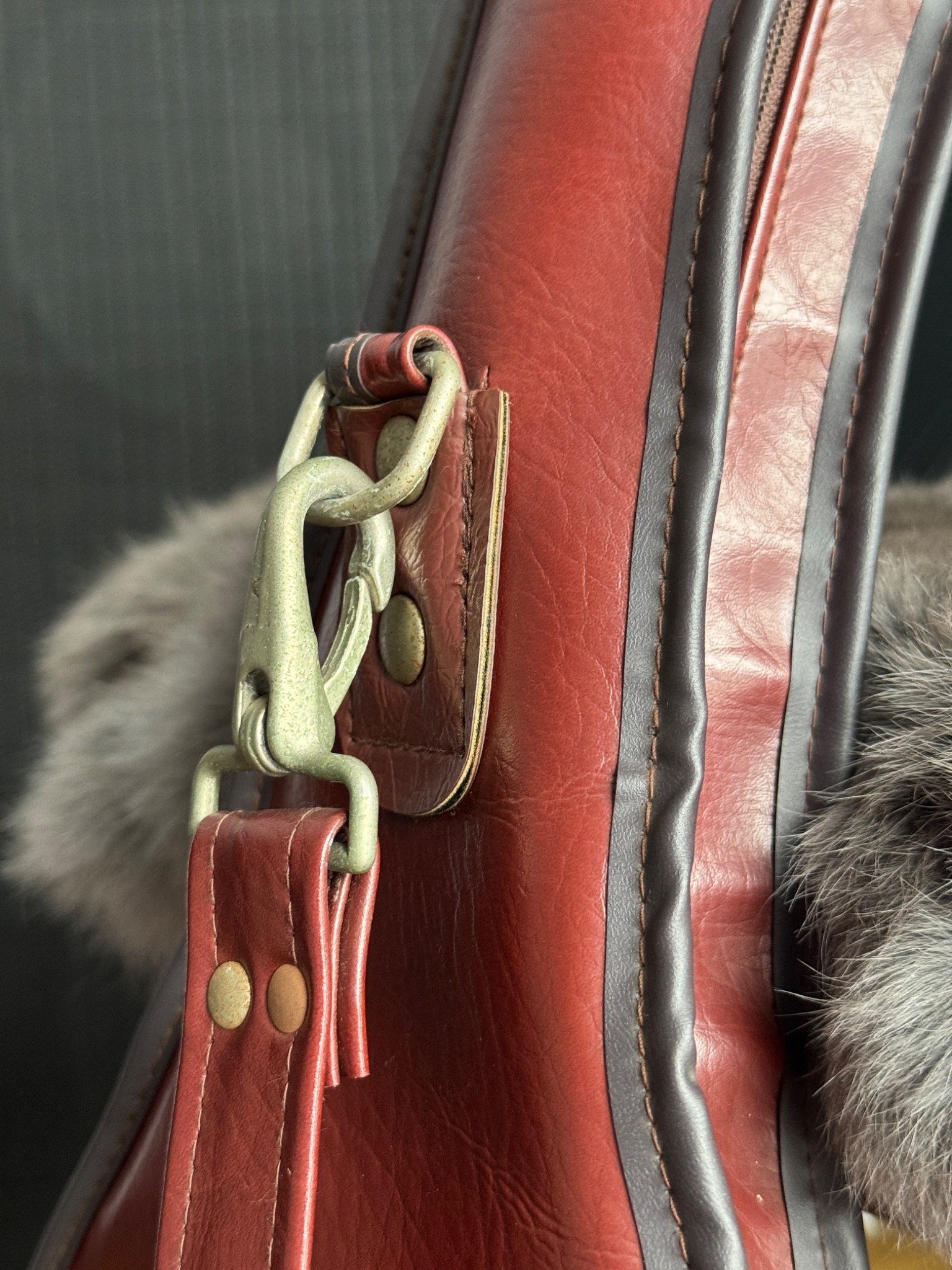 Gig bag strap and buckle hardware