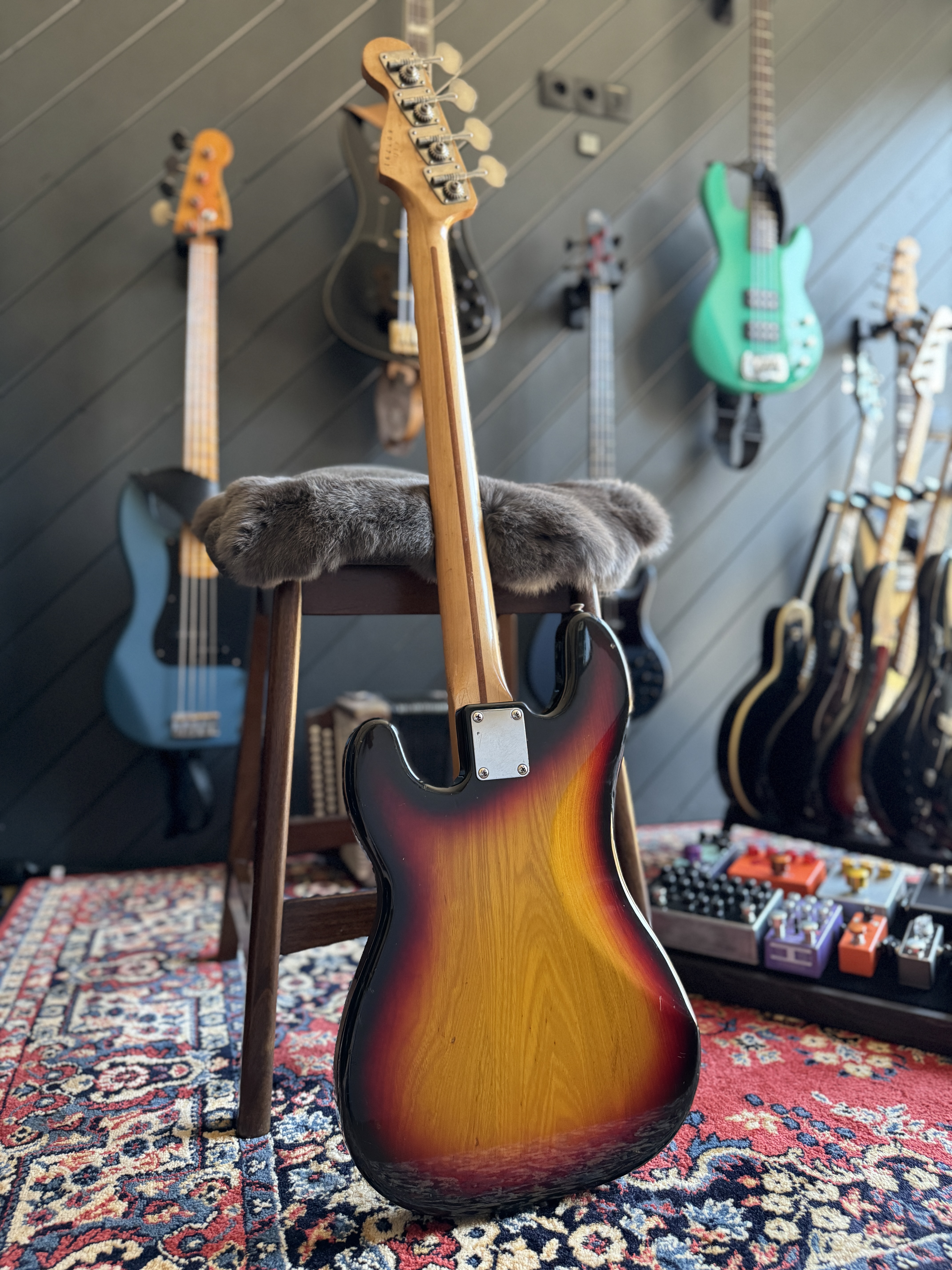 Front view of the bass with white pickguard