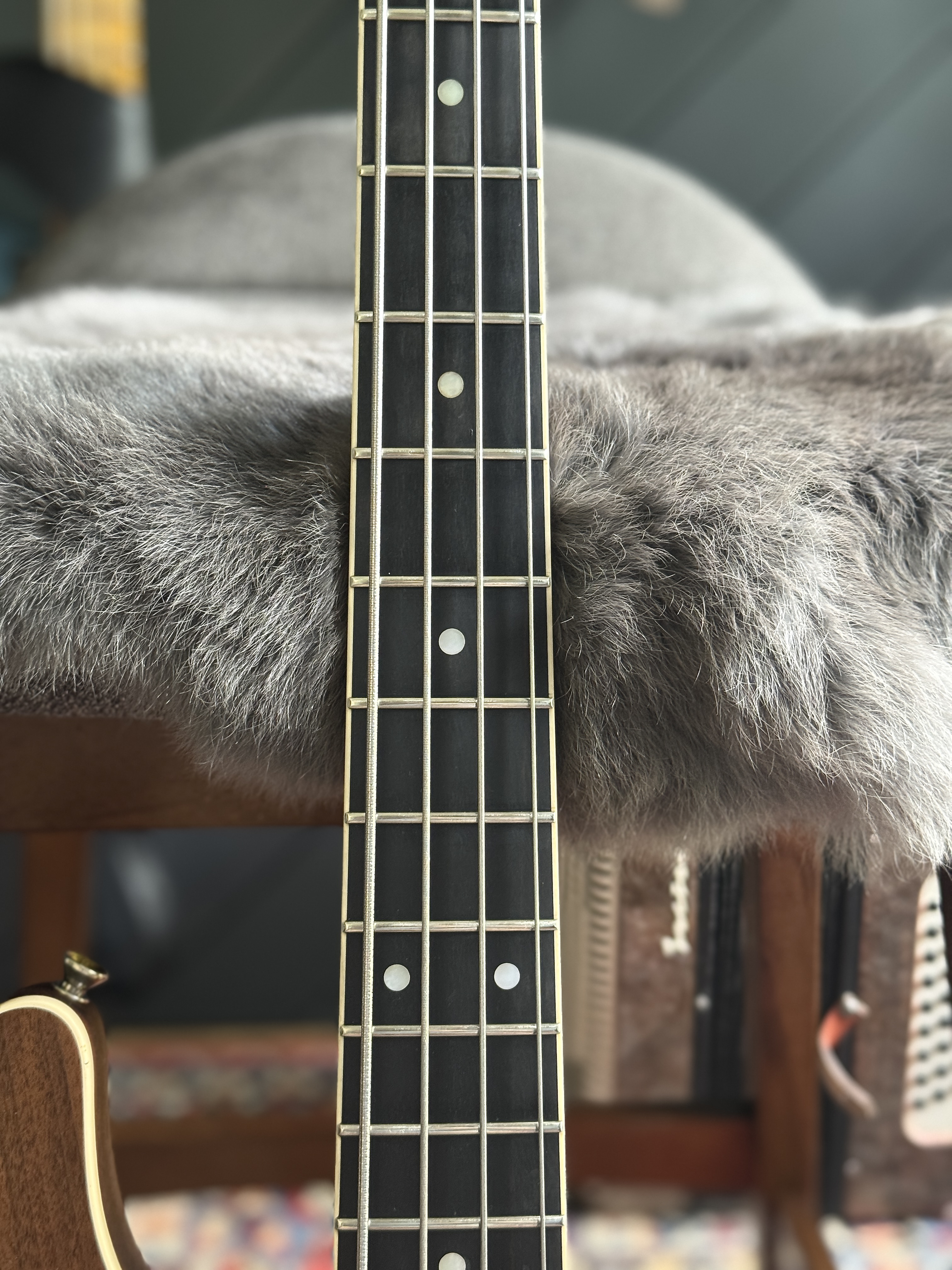 Close view of the fingerboard, frets and position markers