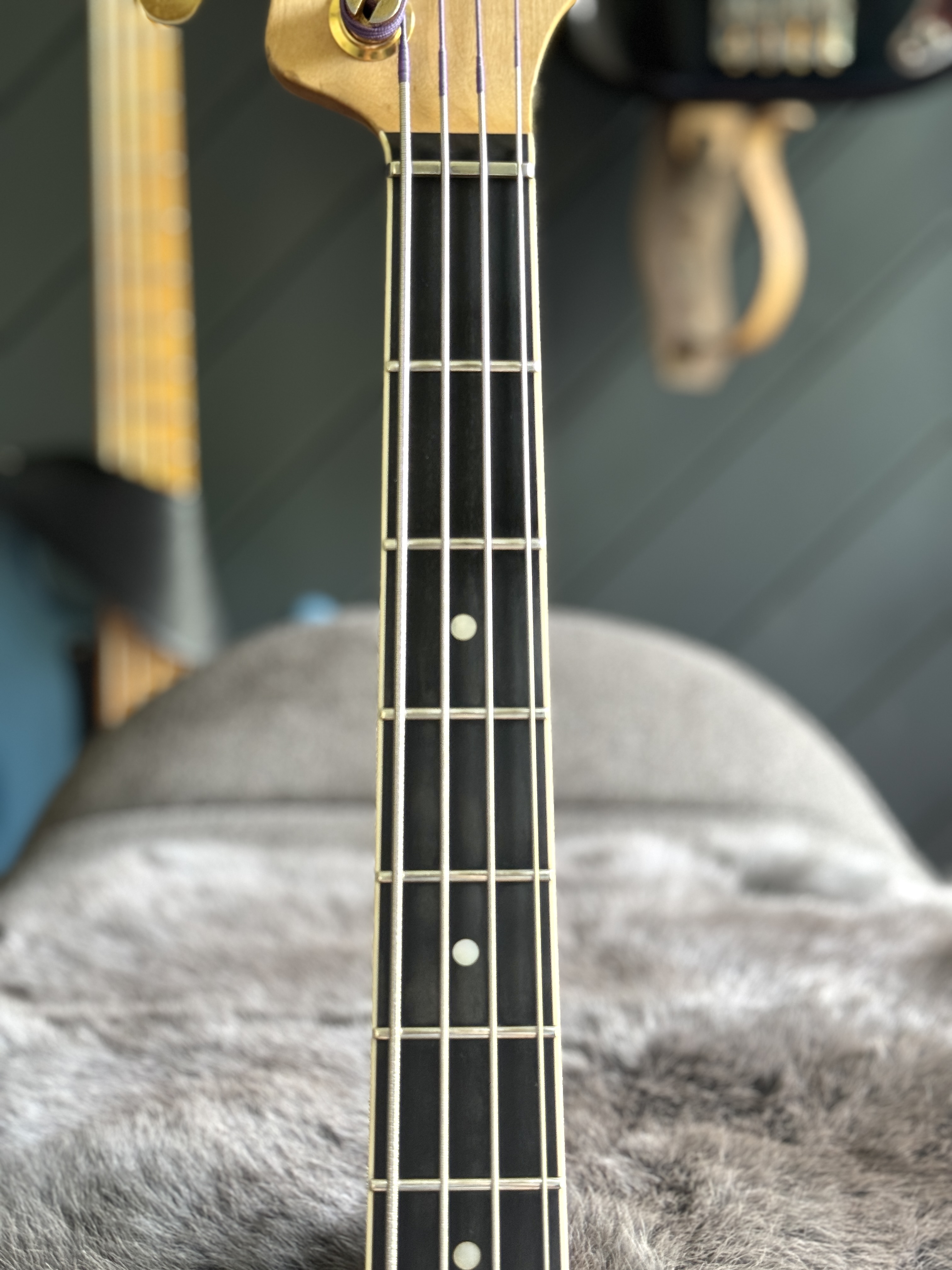 Fingerboard detail near the body end