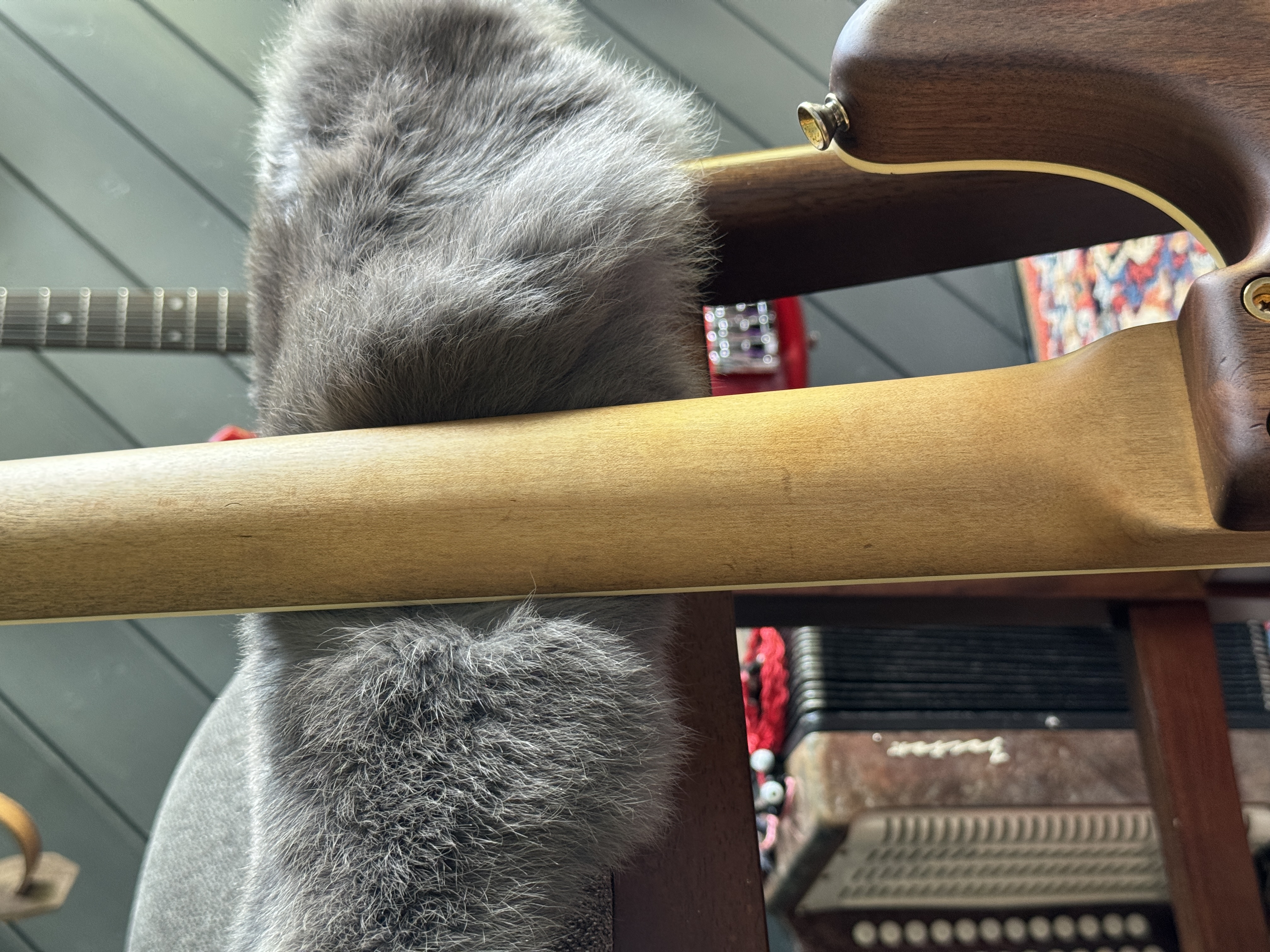 Rear view of the neck heel and body transition