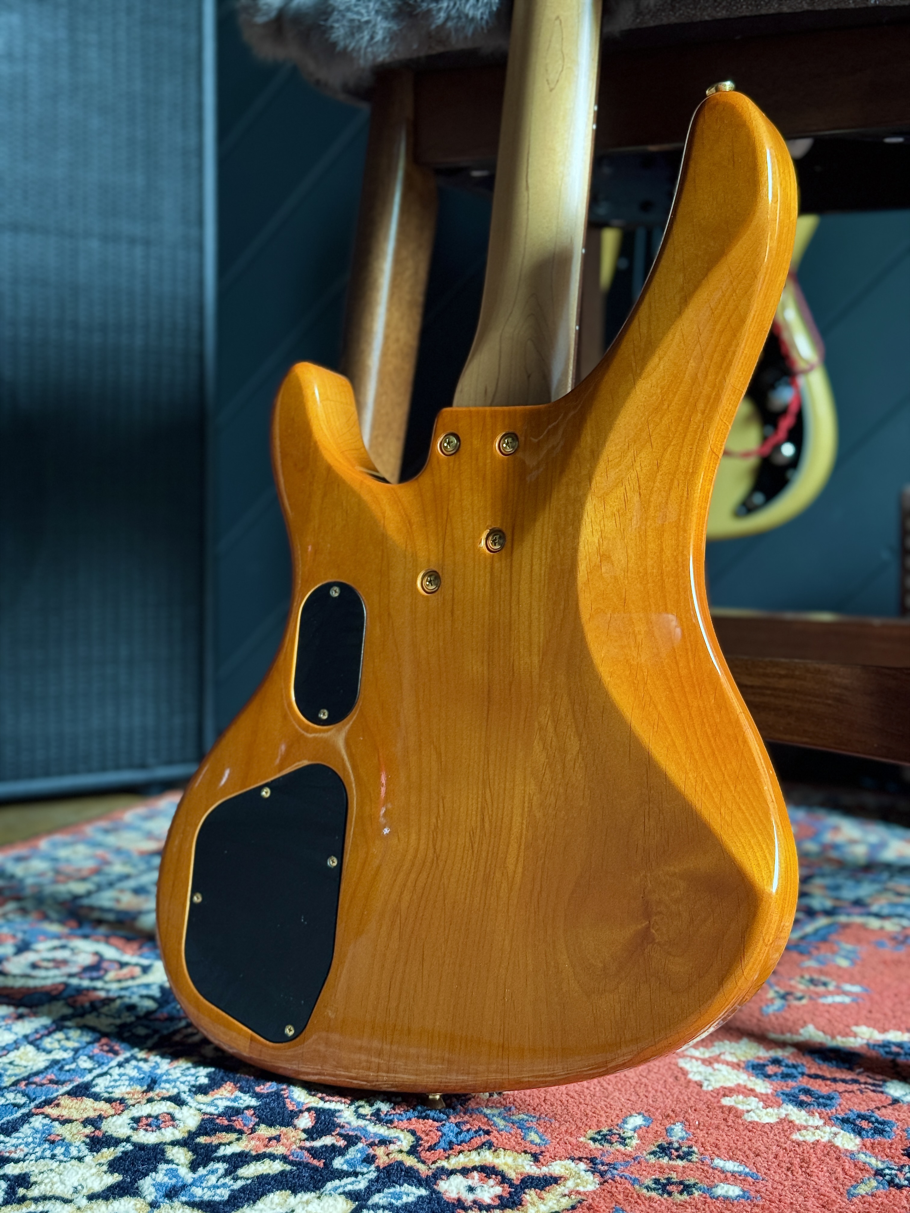 Rear close-up showing the body and electronics covers