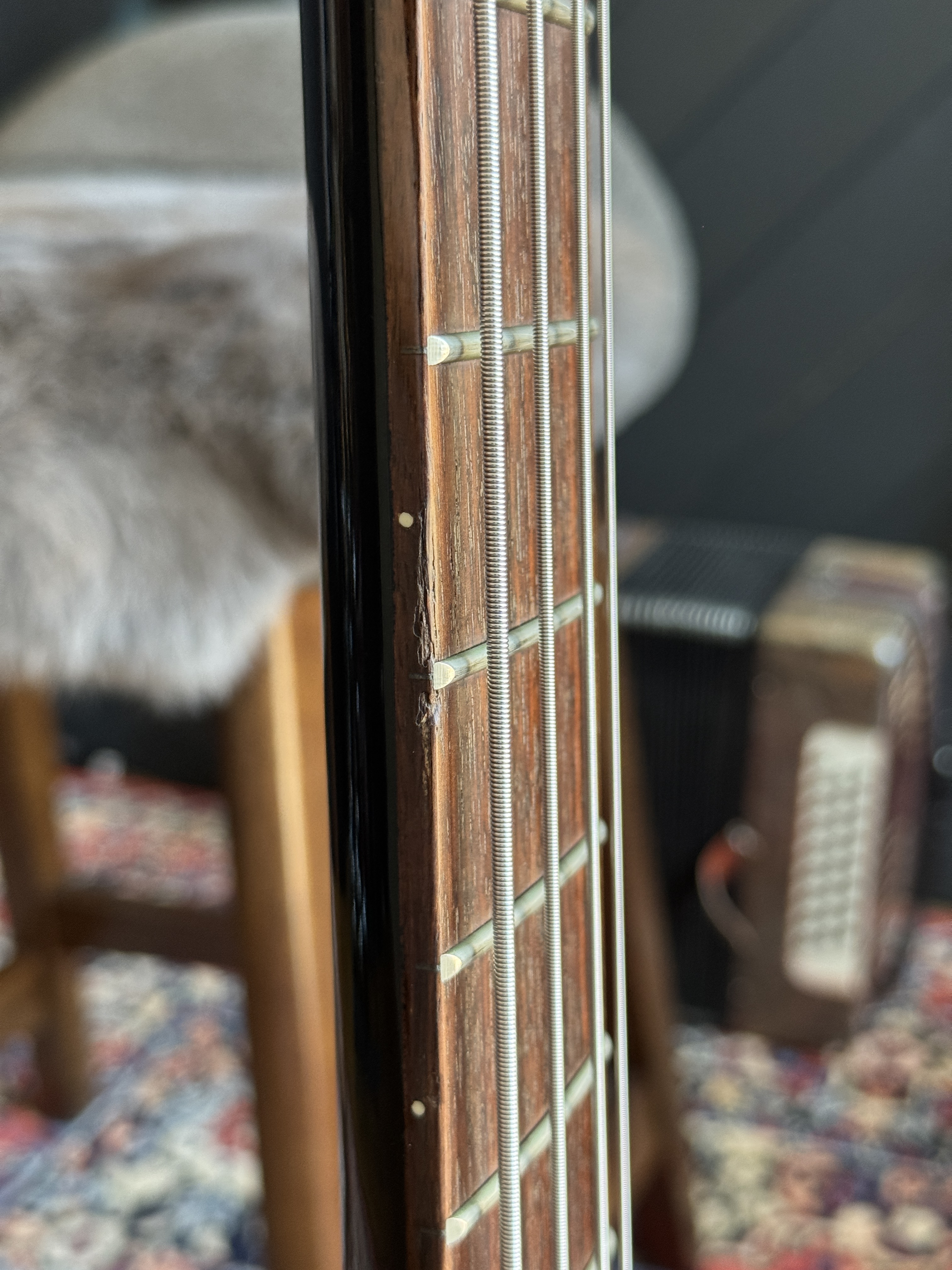 2010s Prologue All Black Jazz Bass — signs of life