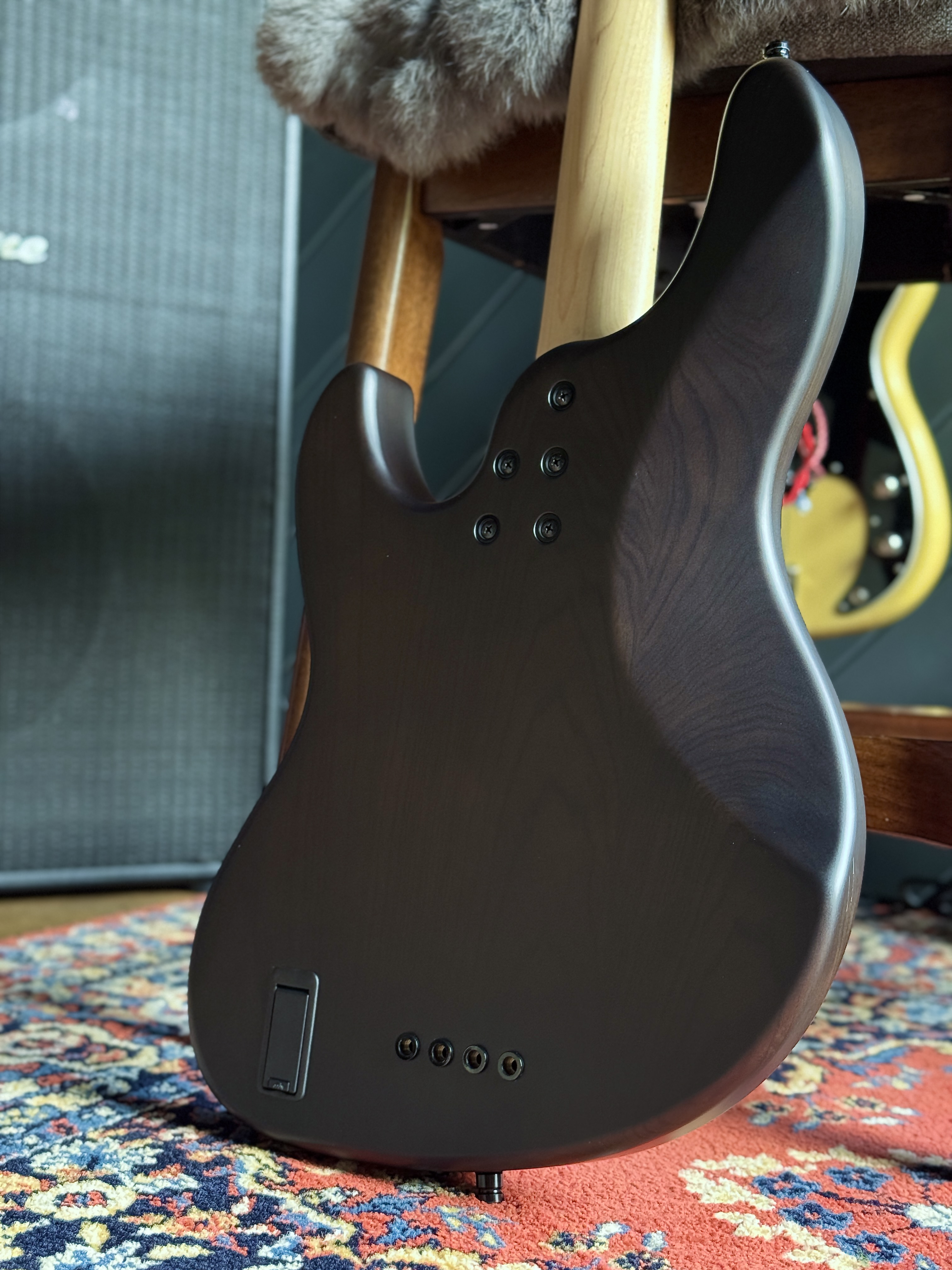 Close rear view of the body and neck plate