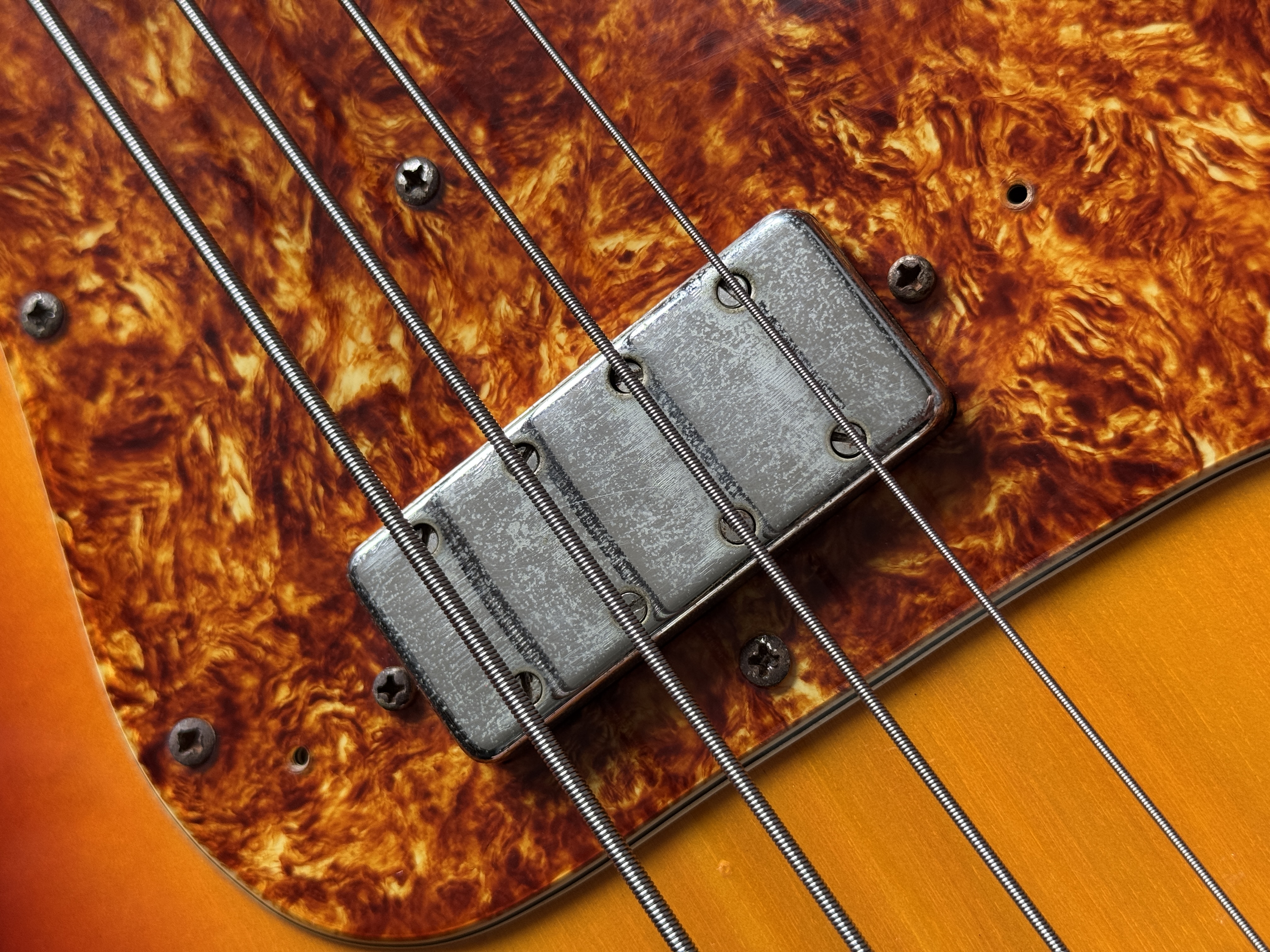 Late 1960s / Early 1970s ELK BS-400 Vintage Bass — signs of life